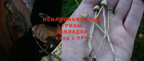 прущая мука Абаза